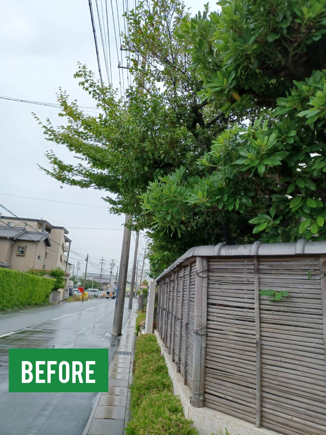 実績報告 浜松市中央区 庭木の伐採剪定作業